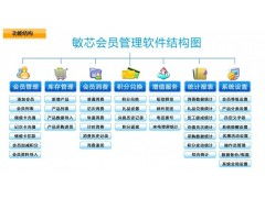 南寧門店連鎖會員管理軟件與辦公軟件開發的行業洞察